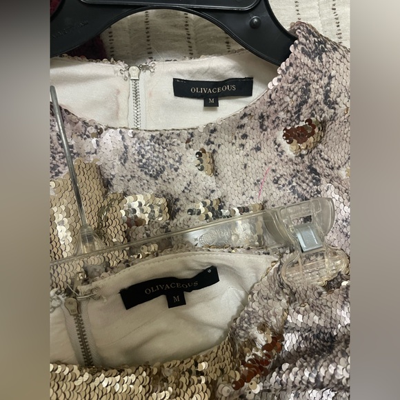 Oliviaceous Snakeskin and Gold Reversible sequin Set - Picture 4 of 5